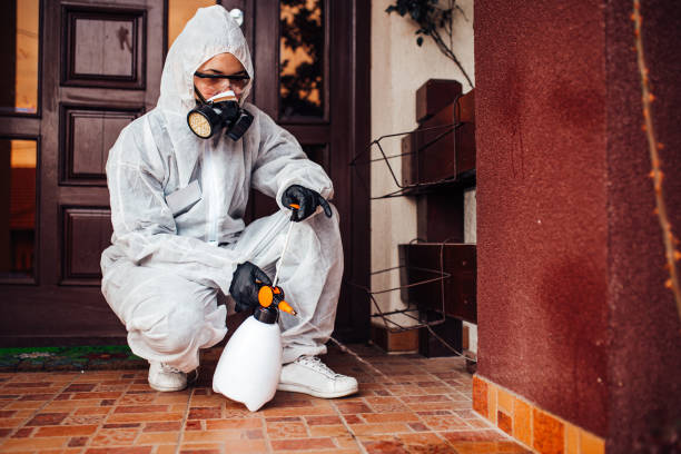 Attic and Crawl Space Rodent Treatment in Madeira Beach